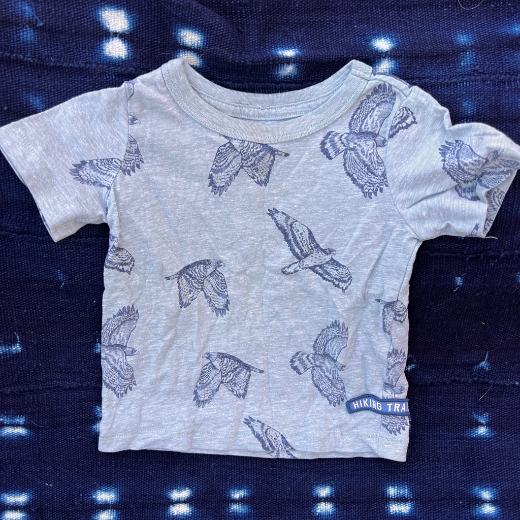 Falcon Tee